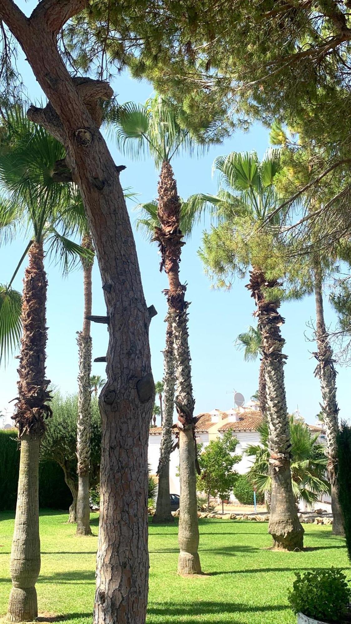 Lagovista45 Torrevieja Buitenkant foto